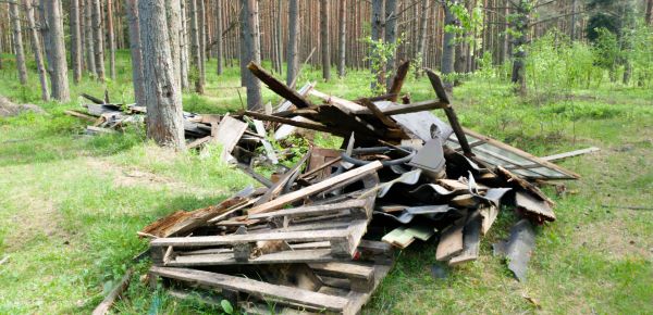 Debris Removal Service in Winter Springs